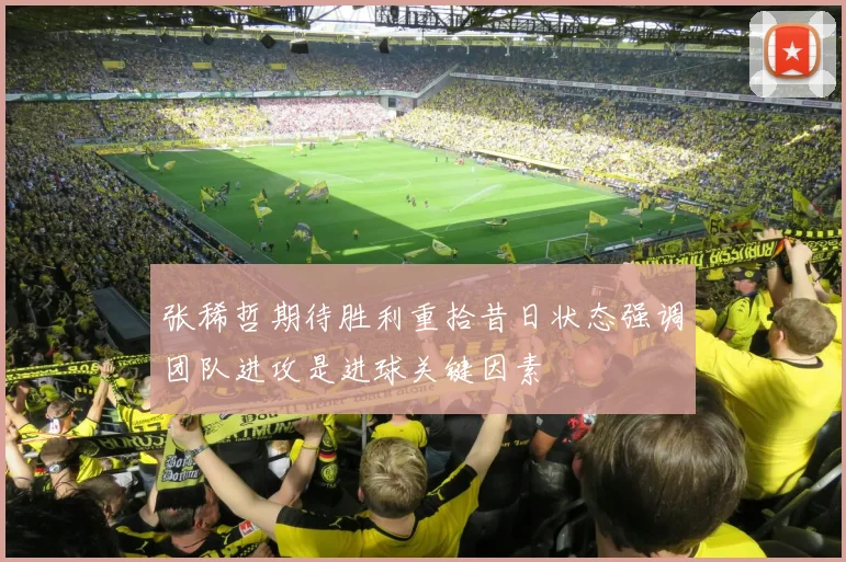 张稀哲期待胜利重拾昔日状态强调团队进攻是进球关键因素